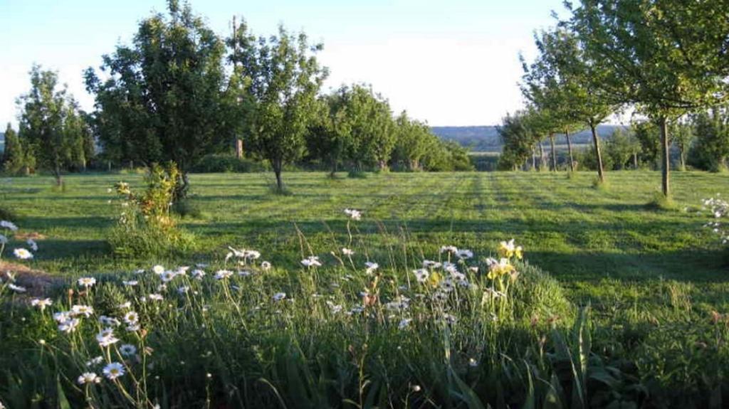 Le Mont D'Auge Bed & Breakfast Canapville  Eksteriør bilde