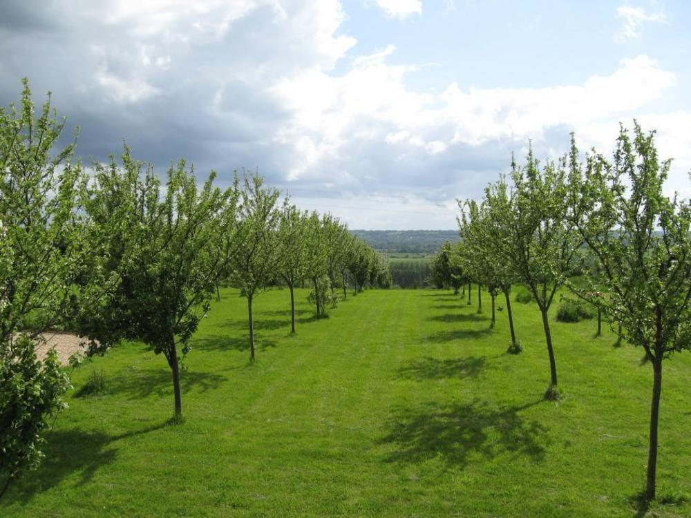 Le Mont D'Auge Bed & Breakfast Canapville  Eksteriør bilde