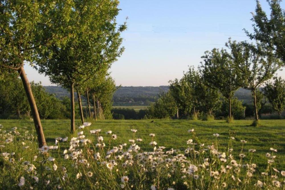 Le Mont D'Auge Bed & Breakfast Canapville  Eksteriør bilde